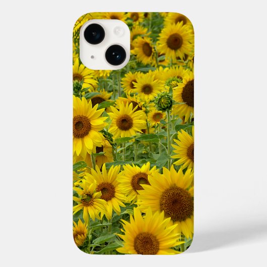 Gele zonnebloemen Case-Mate iPhone case (Achterkant)