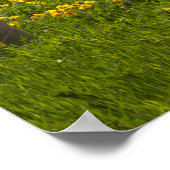 Gele zonnebloemen en gebergten poster (Hoek)