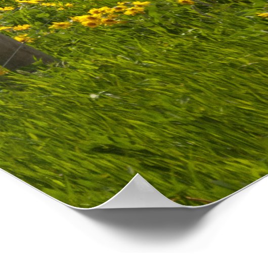 Gele zonnebloemen en gebergten poster (Hoek)