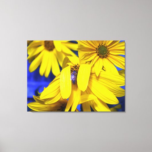 Gele zonnebloemen N Blauwe Bee Gewikkelde Canvas A Afdruk (Voorkant)