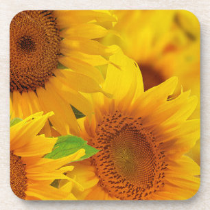 Gele zonnebloemen Onderzetter