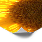 Gele zonnebloemen poster (Hoek)