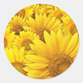 Gele zonnebloemen ronde sticker (Voorkant)