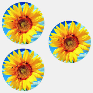 Gele zonnebloemen Stickers