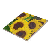 Gele zonnebloemen tegeltje (Zijkant)