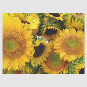 Gele Zonnebloemen Zomer Weefsel Papier Wrap