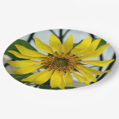 Gele zonnebloempitaat Botanische Floral Papieren Bordje (Gekanteld)