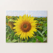 gele zonnebloempuzzels legpuzzel (Horizontaal)