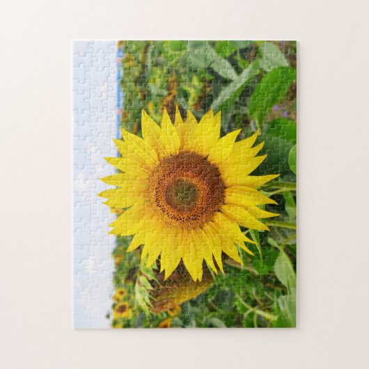 gele zonnebloempuzzels legpuzzel (Verticaal)