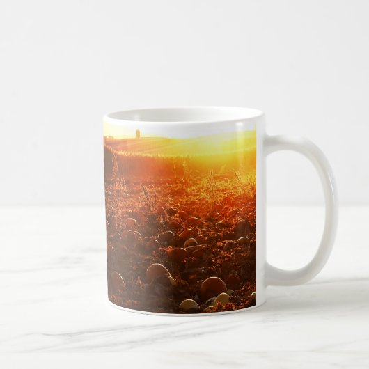 Gele Zonsondergang Pompoenveld Koffiemok (Rechts)