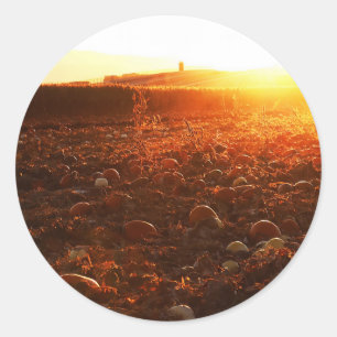 Gele Zonsondergang Pompoenveld Ronde Sticker