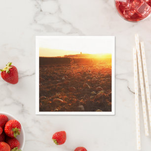 Gele Zonsondergang Pompoenveld Servet