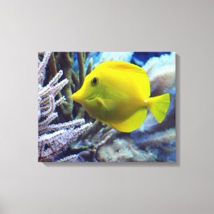 Gele zoutwater Tang Fish Canvas Afdruk