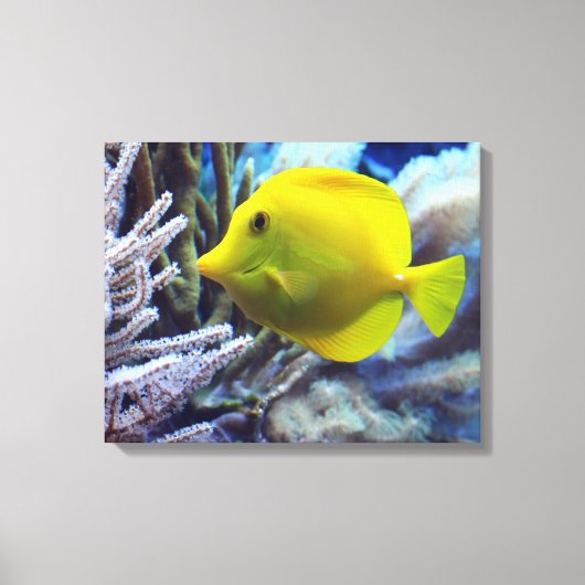Gele zoutwater Tang Fish Canvas Afdruk (Voorkant)