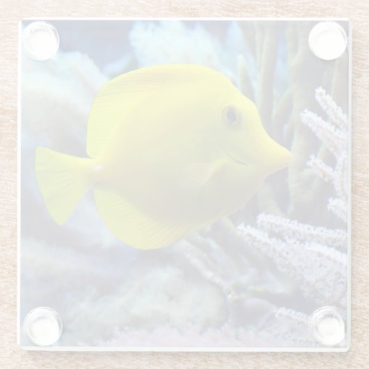 Gele zoutwater Tang Fish Glazen Onderzetter (Achterkant)