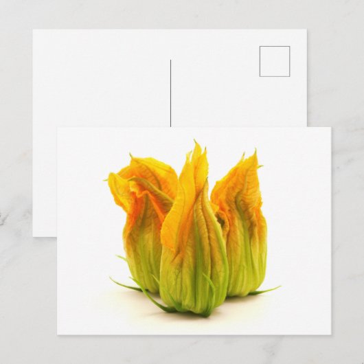 Gele zucchini-bloem briefkaart (Voorkant / Achterkant)