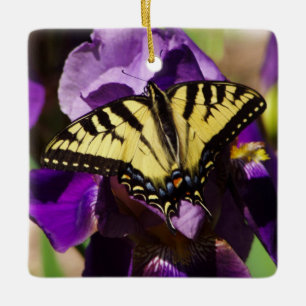 Gele zwaluwstaart die op een bebaarde iris rust. keramisch ornament
