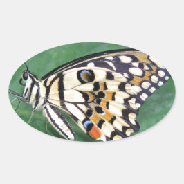 Gele zwarte en witte vlinder op lef ovale sticker