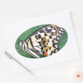Gele zwarte en witte vlinder op lef ovale sticker (Envelop)