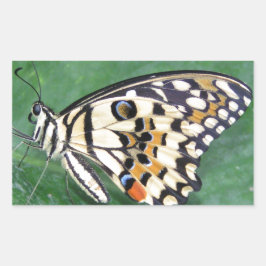 Gele zwarte en witte vlinder op lef rechthoekige sticker