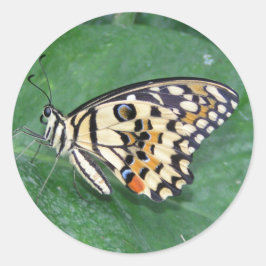 Gele zwarte en witte vlinder op lef ronde sticker