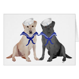 Gele & Zwarte Labrador Retrievers