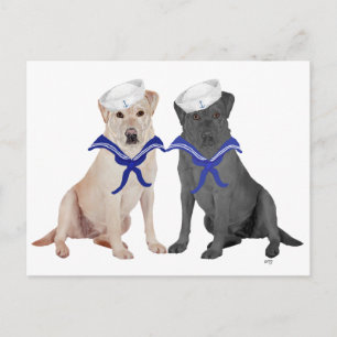Gele & Zwarte Labrador Retrievers Briefkaart