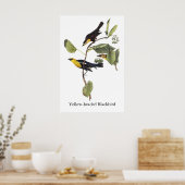 Gele zwarte vogel - John Audubon Poster (Keuken)