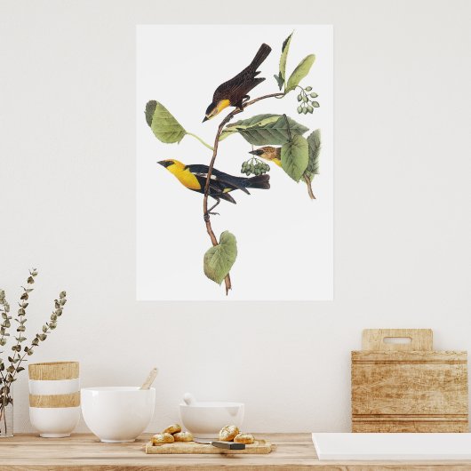 Gele zwarte vogel poster (Keuken)