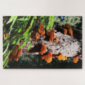 gele zwavel plank paddestoel mycelium legpuzzel (Horizontaal)