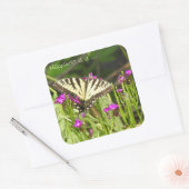 Gele zweetstaarten voor vliegenstaarten vierkante sticker (Envelop)