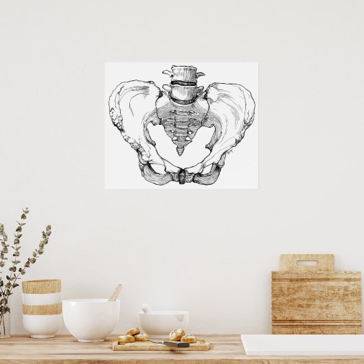 Gelede Pelvis Poster (Keuken)