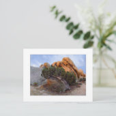 "Gelegde terug Jeneverbes " Briefkaart (Staand voorkant)