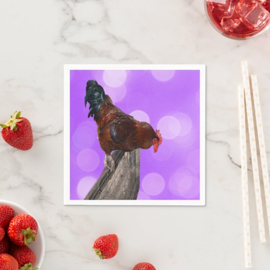 Gelegen in majesteit: Haan op dromerige Paarse glo Servet (Insitu)