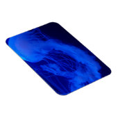 Gelei magneet (Rechterzijde)