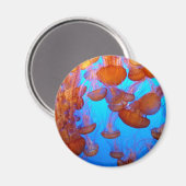 Gelei stapel-up magneet (Voorkant / Achterkant)