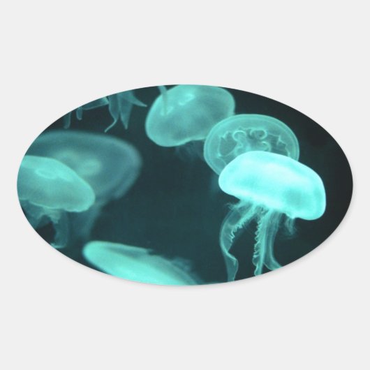 Gelei vis gloeiend ovale sticker (Voorkant)