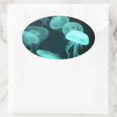 Gelei vis gloeiend ovale sticker (Tas)