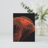 geleiachtig licht briefkaart (Staand voorkant)