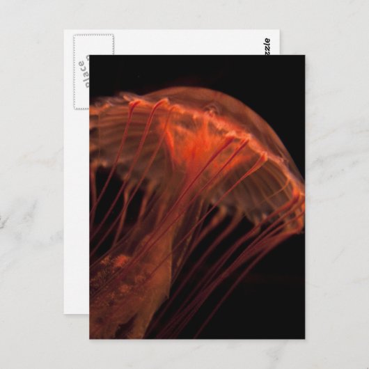 geleiachtig licht briefkaart (Voorkant / Achterkant)