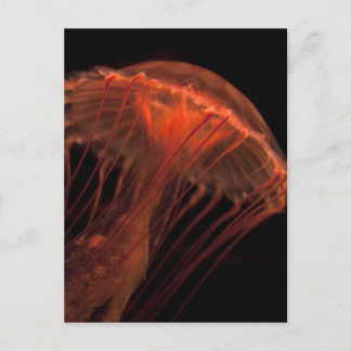 geleiachtig licht briefkaart