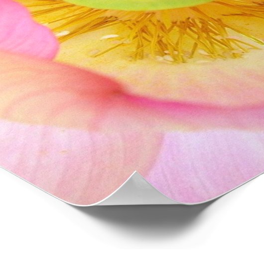 Geleid Poster (Hoek)