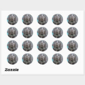 Geleidehonden - Black Lab Cross Ronde Sticker (Vel)