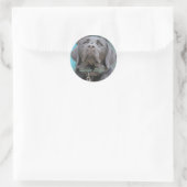 Geleidehonden - Black Lab Cross Ronde Sticker (Tas)