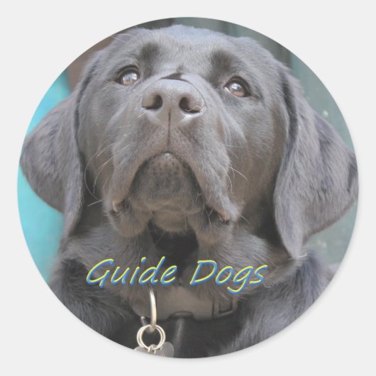 Geleidehonden - Black Lab Cross Ronde Sticker (Voorkant)