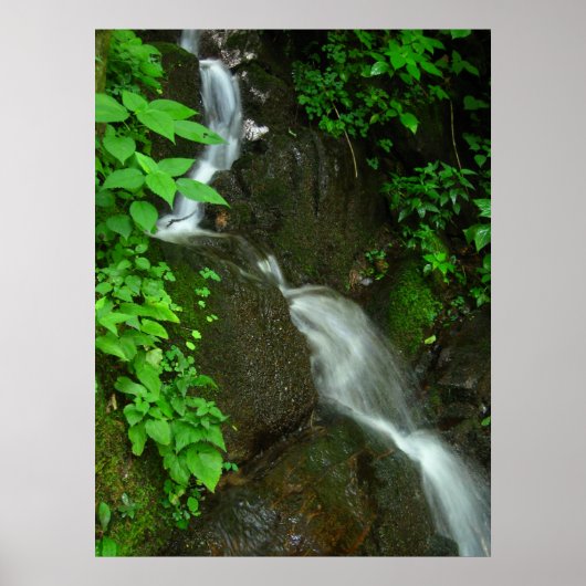 Geleidelijke groei poster (Voorkant)