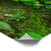 Geleidelijke groei poster (Hoek)