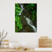 Geleidelijke groei poster (Keuken)