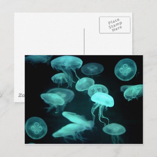 geleivis gloeien briefkaart (Voorkant / Achterkant)