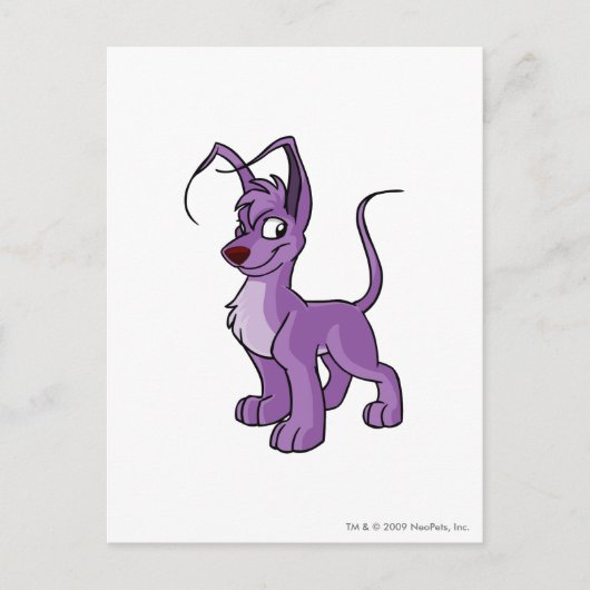 Gelert Purple Briefkaart (Voorkant)